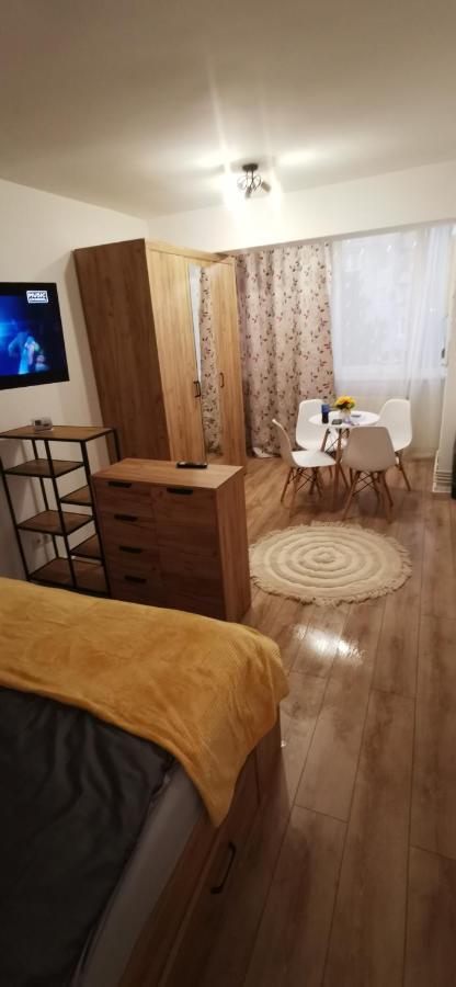 Ana Studio Apartman Marosvásárhely Kültér fotó